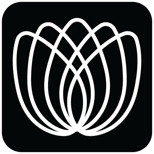 http://wttest.aihealthcaremarketing.com/wp-content/uploads/2026/02/cropped-White-Tulips-Dentistry-Icon.png
